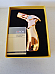 Jobon 4 Flame Jet Torch Lighter gift boxed silver grey
