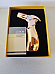 Jobon 4 Flame Jet  Lighter gift boxed Gold