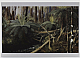 Australian Artist cards  highest quality unique cards