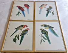 Set of 4 Rosella Parrot prints very nicely framed in Brass Frames