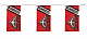 Essendon   AFL Bunting 5 Meters! Bunting  fast shipping