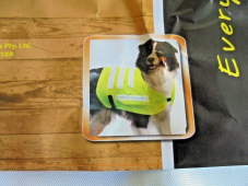 Reflective Dog Vest Protect your Dog Medium