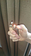 BLOWTORCH CULINARY NEW REGAL MODEL M07 HIGHEST QUALITY COMES WITH FREE GAS